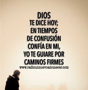 Meet your Posher, Harold